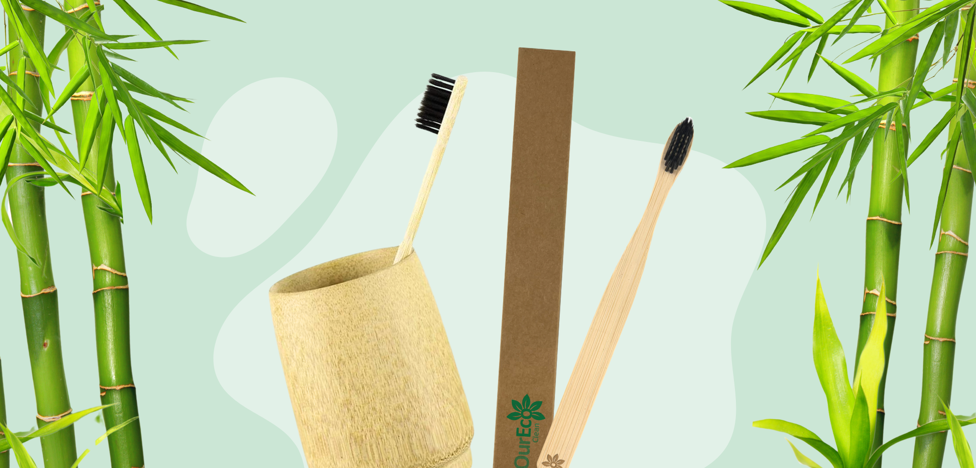 Bamboo Toothbrushes